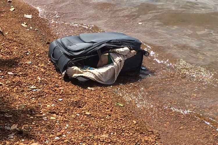 Assassino do "crime da mala" diz que matou a vítima por vingança| Foto: Reprodução/ WhatsApp