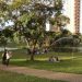 Projeto Domingo no Parque oferece atrações gratuitas aos domingos| Foto: Divulgação