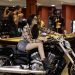 Para participar da exposição de motos Harley-Davidson, basta levar 2 kg de alimentos não perecíveis | Foto: Divulgação