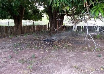 Samu encontrou a criança já sem vida em meio ao entulho em Piranhas | Foto: Reprodução