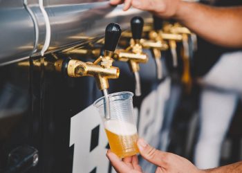 Projeto quer estimular produção de chope e cerveja artesanal em Goiás | Foto: Reprodução