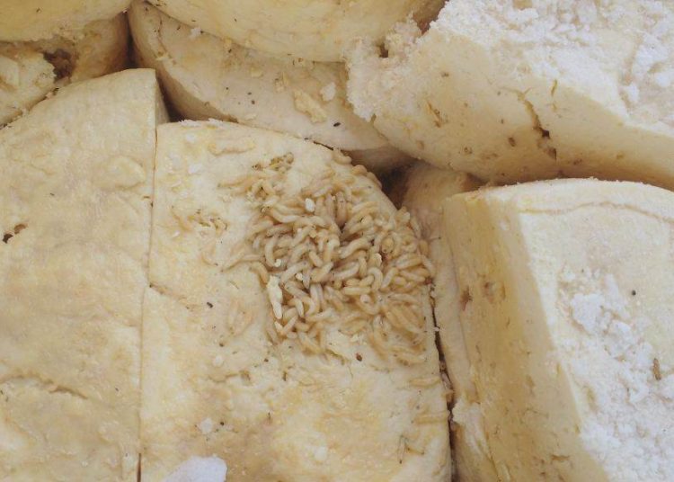 Vereador de Goiânia é preso por comercializar produtos impróprios para o consumo | Foto: Divulgação Polícia Civil