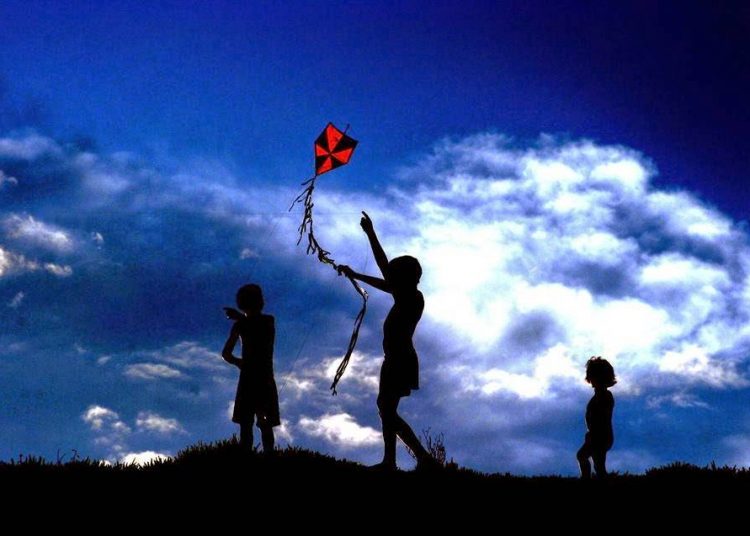 Lei da Pipa é alterada por novo projeto apresentado na Câmara de Aparecida | Foto: Reprodução