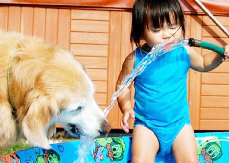 Especialista explica como melhorar o convívio entre pets e crianças | Foto: Reprodução