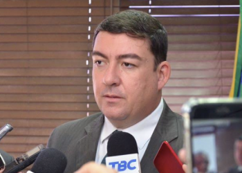 Presidente da Assembleia Legislativa de Goiás (Alego) José Vitti (PSDB) | Foto: Divulgação