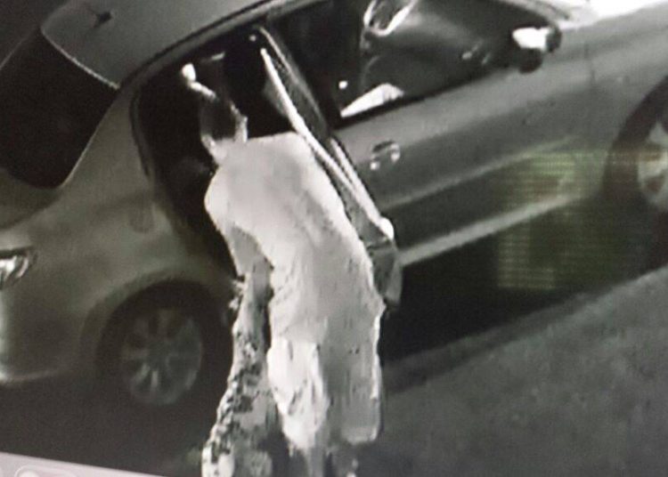 Vídeo mostra ação de homem que furtou dálmata no meio da rua em Goiânia | Foto: Reprodução/ Câmera de Segurança