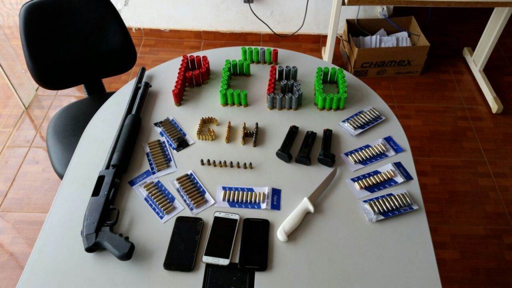 Estudante de veterinária é preso com armas e 240 munições em Luziânia | Foto: Divulgação/ Polícia Civil