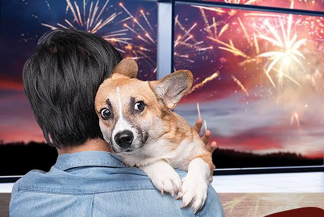 GOIÂNIA PROÍBE FOGOS DE ARTIFÍCIO COM BARULHO