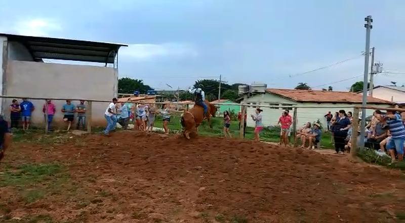 Acidente em treino de montaria acaba com a morte de peão em MG | Foto: Reprodução