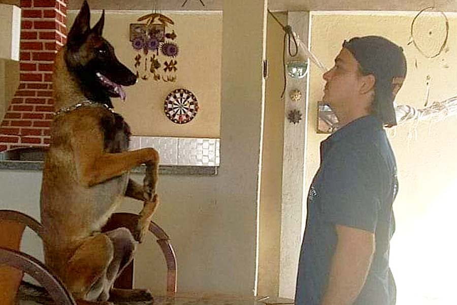 Alexandre Silva fala sobre a arte de adestrar um cachorro | Foto: Arquivo Pessoal