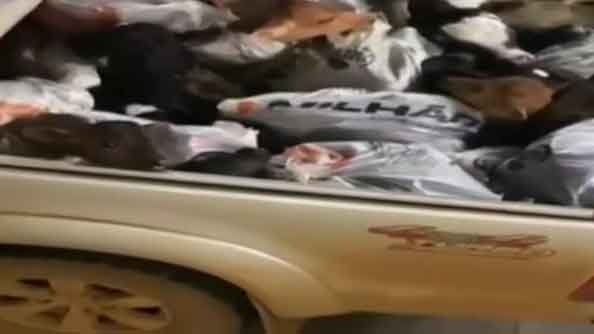 PM resgata bezerros em sacos dentro da carroceria de caminhonete em Anápolis