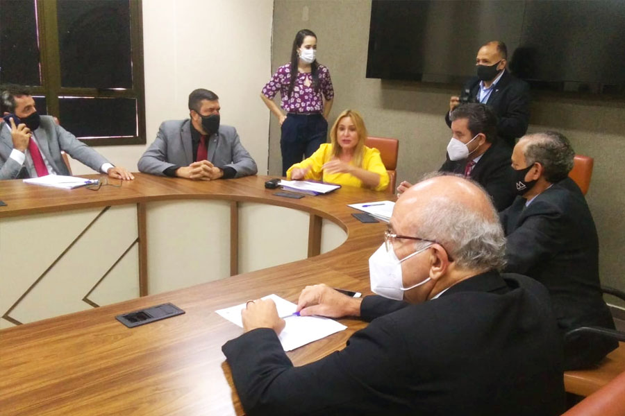 Valéria Pettersen dialoga com vereadores em visita à Câmara de Goiânia | Foto: Reprodução
