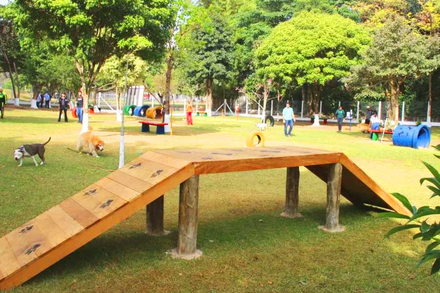 ParCão: Aprovada a criação de parque de lazer para cachorros em Aparecida