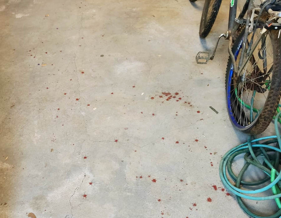 Marcas de sangue deixadas pela luta corporal | Foto: Reprodução