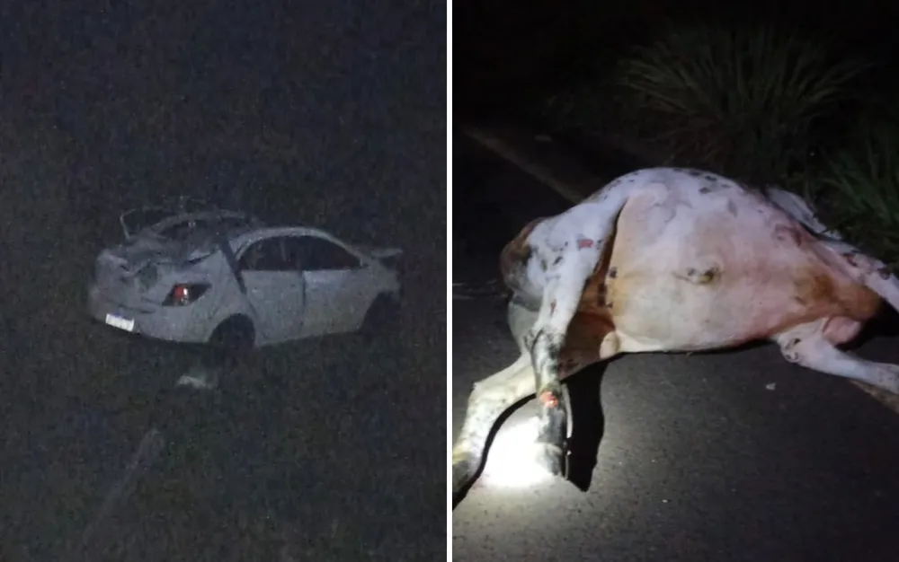 Locutor de rodeio e amigo morrem após atropelamento de vaca na GO-302