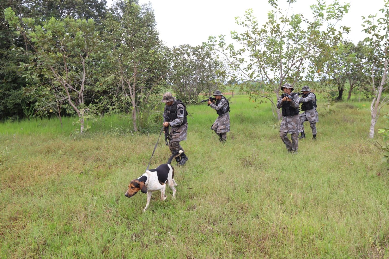 Policiais utilizando cães de caça para rastrear suspeitos | Foto: Divulgação/PM