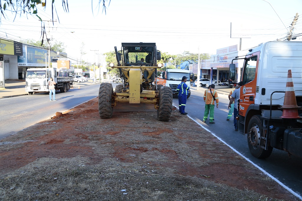 CAU/GO questiona retirada de 132 árvores durante obras na avenida Rio Verde