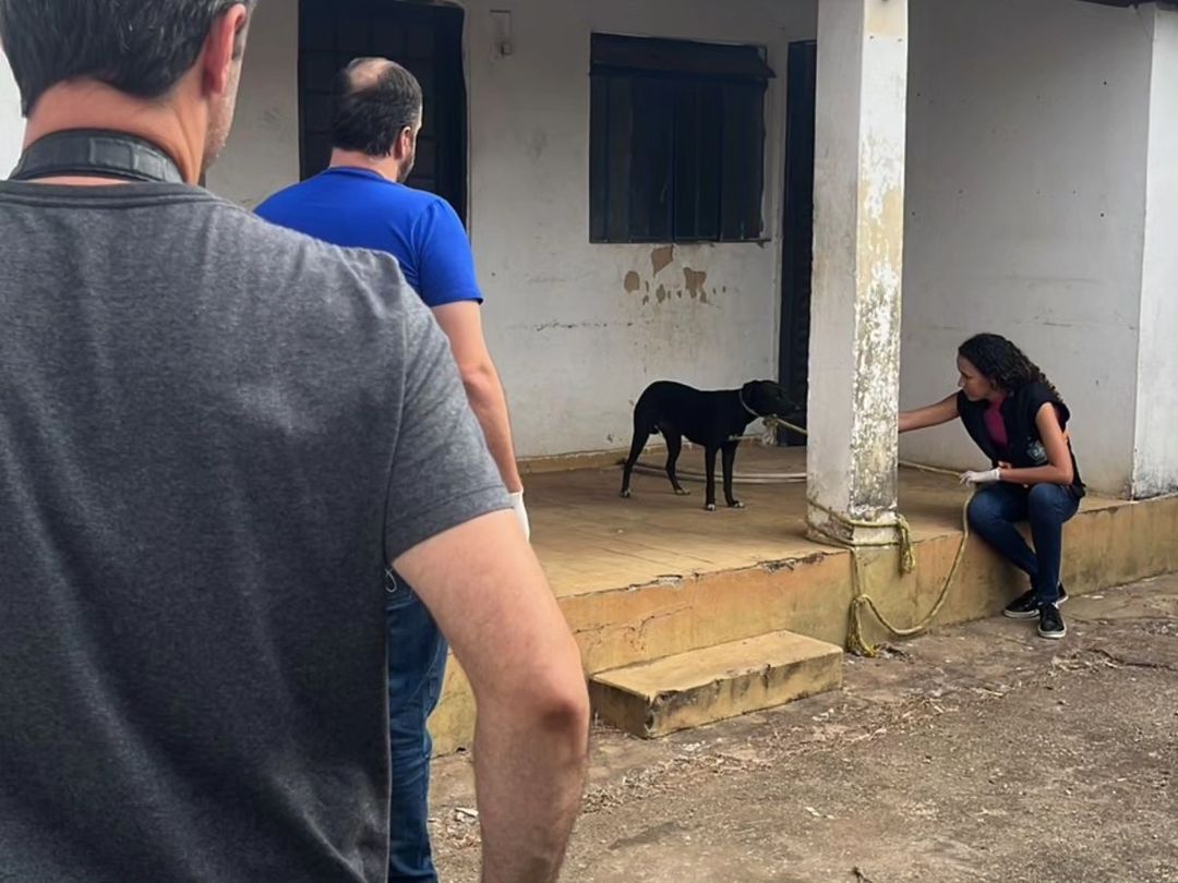 Cadela ficou intimidada pelos agentes | Foto: PCGO