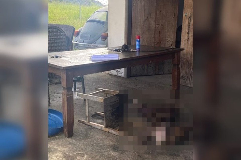Com fome, 6 cães devoram corpo de policial que faleceu em casa