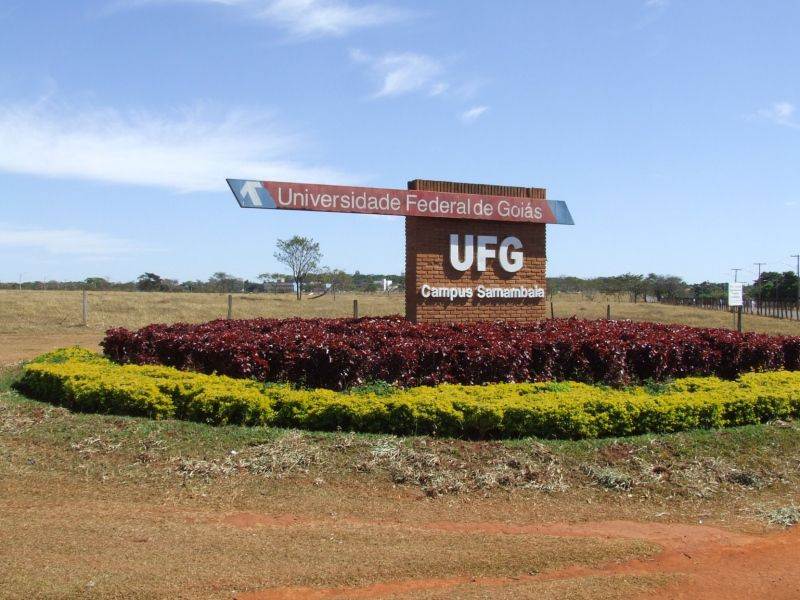 Por diferença de 5 votos, professores da UFG decidem entrar em greve