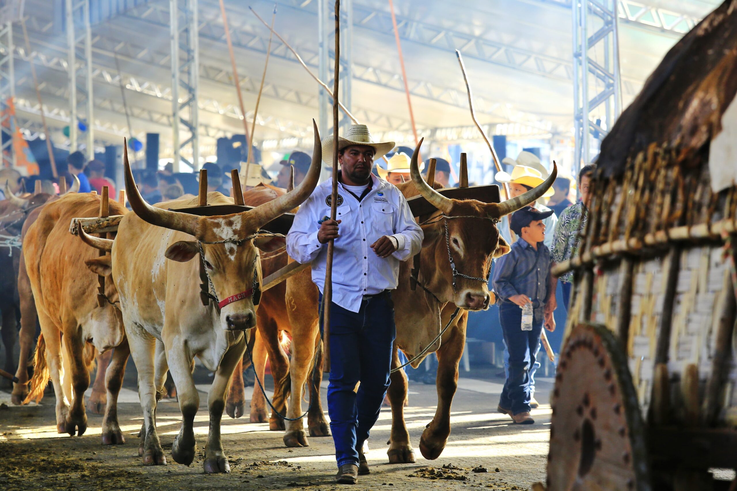 Romaria dos Carros de Boi, Cavaleiros e Muladeiros, na Festa em Louvor ao Divino Pai Eterno | Foto: Rômulo Carvalho