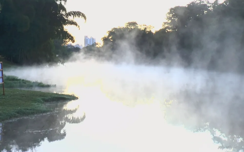 Neblina sobre o Jardim Botânico, em Goiânia | Foto: Reprodução/TV Anhanguera