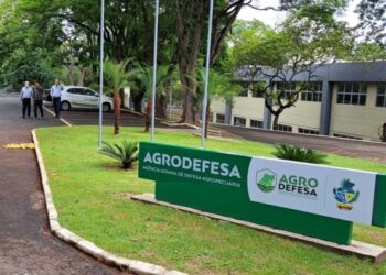 Agrodefesa vai alugar 181 veículos ao custo de R$ 11,75 milhões