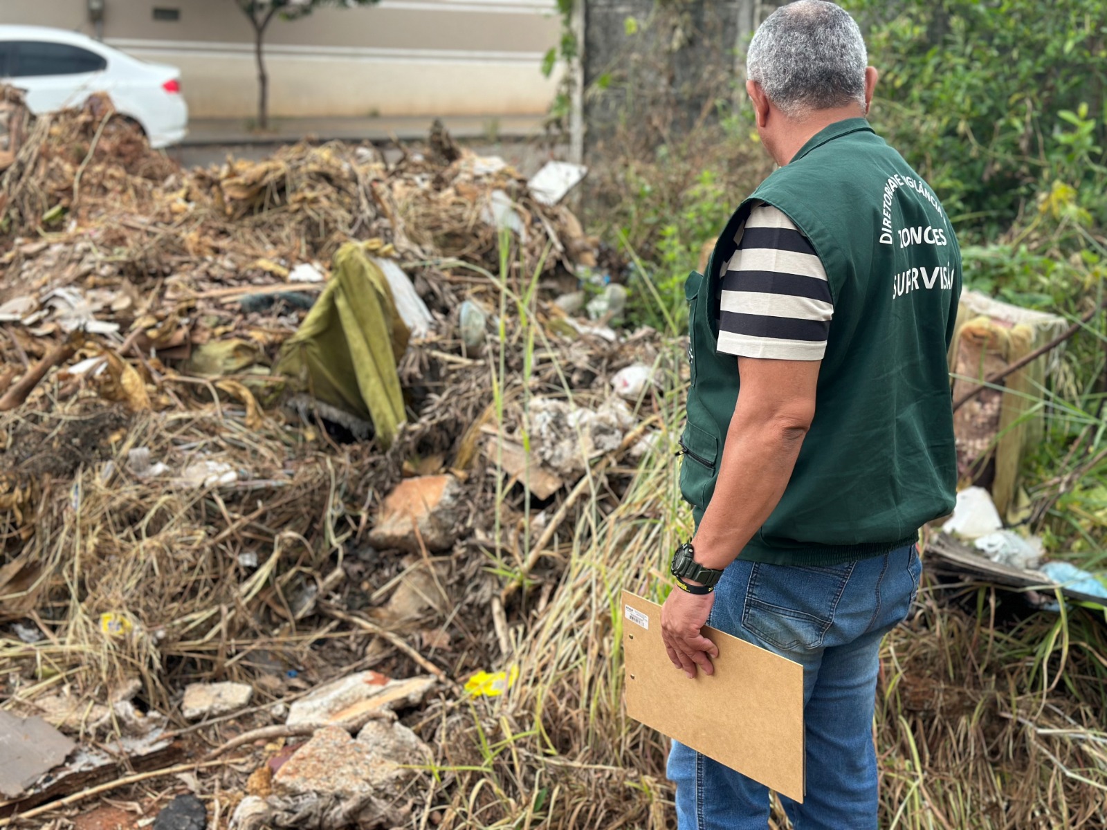 Goiânia mira combate e já recolheu 95 escorpiões em 2025