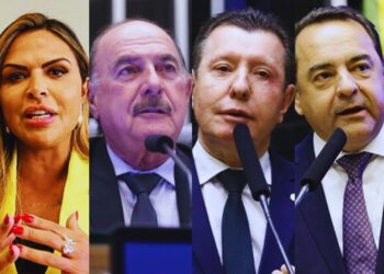 R$ 954 milhões, 14 senadores e musculatura na Câmara: a força da federação UB + PP