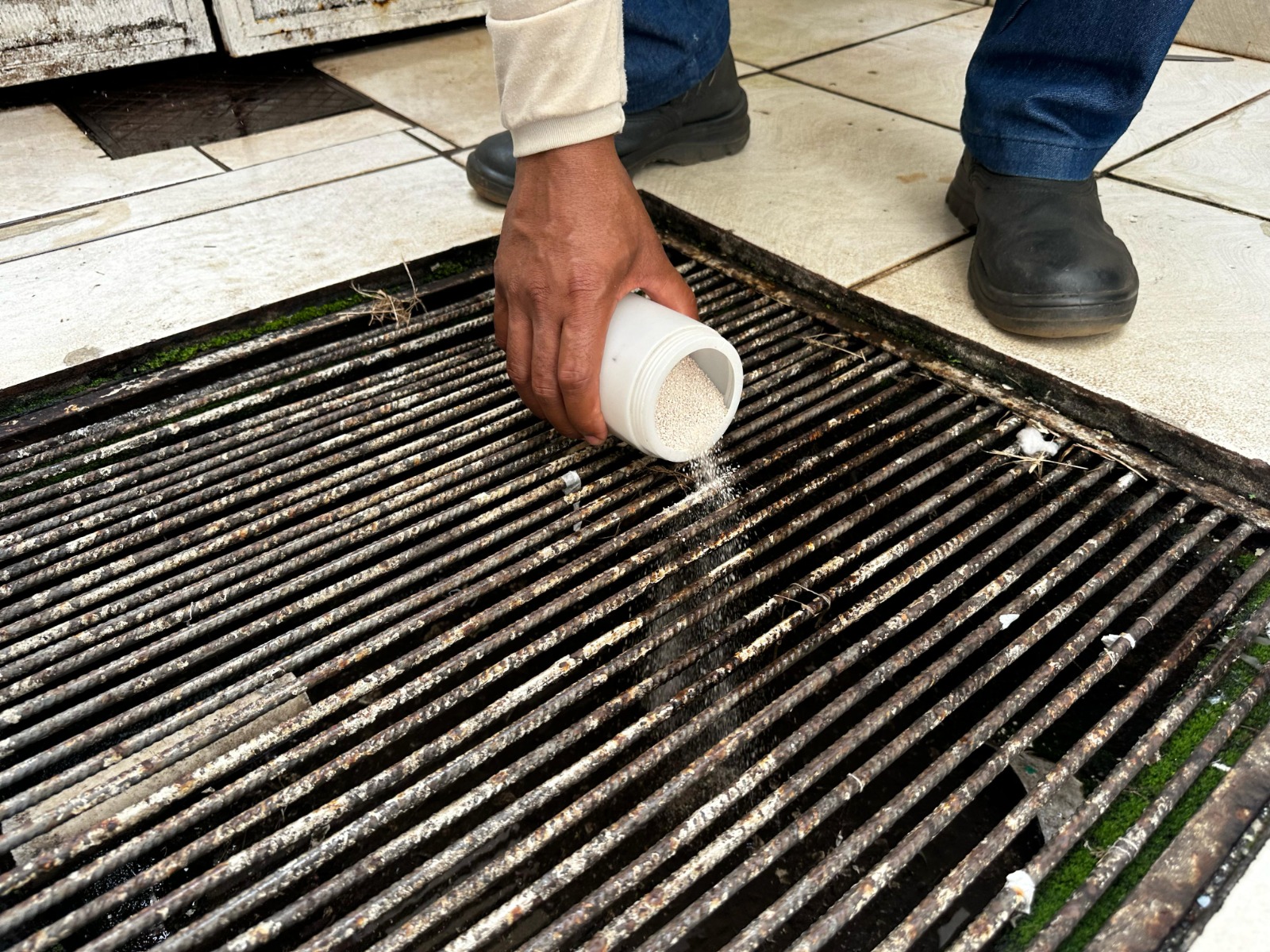 Prefeitura de Goiânia entra em imóveis abandonados para combater o Aedes aegypti