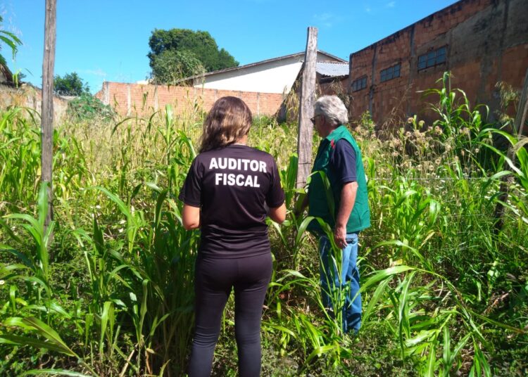 Goiânia: proprietário de lote baldio tem 8 dias para limpar ou será multado