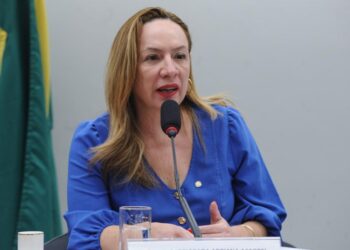 Adriana Accorsi | Foto: Câmara dos Deputados