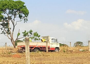 Flagrante foi feito por um seguidor da Folha Z, que preferiu não se identificar, na tarde desta 3ª feira (Foto: Leitor da Folha Z)