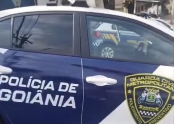 Veículo da GCM plotado | Foto: Reprodução / Redes sociais