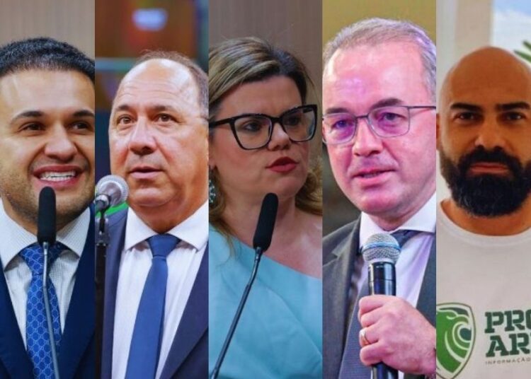 Nomes cotados para concorrer às eleições pelo PSD | Foto: Reprodução